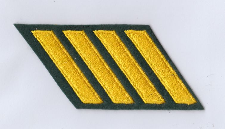 HASH MARKS - 1 STRIPE EACH - MEDIUM GOLD on SPRUCE GREEN.